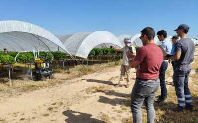 Demostraciones en campo en Moguer (Huelva)